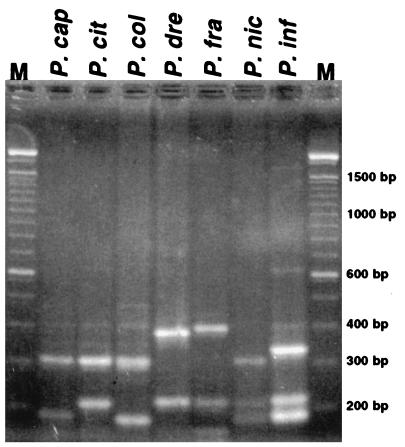 FIG. 6