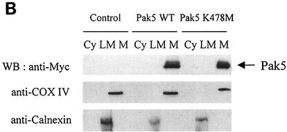 FIG. 9.