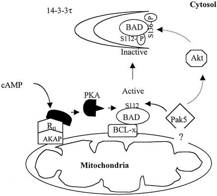 FIG. 10.