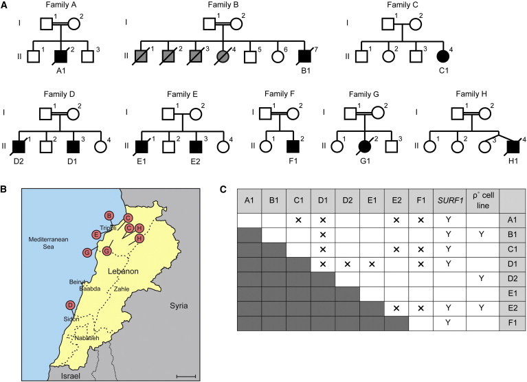 Figure 1