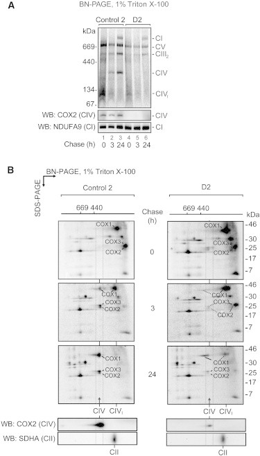 Figure 5