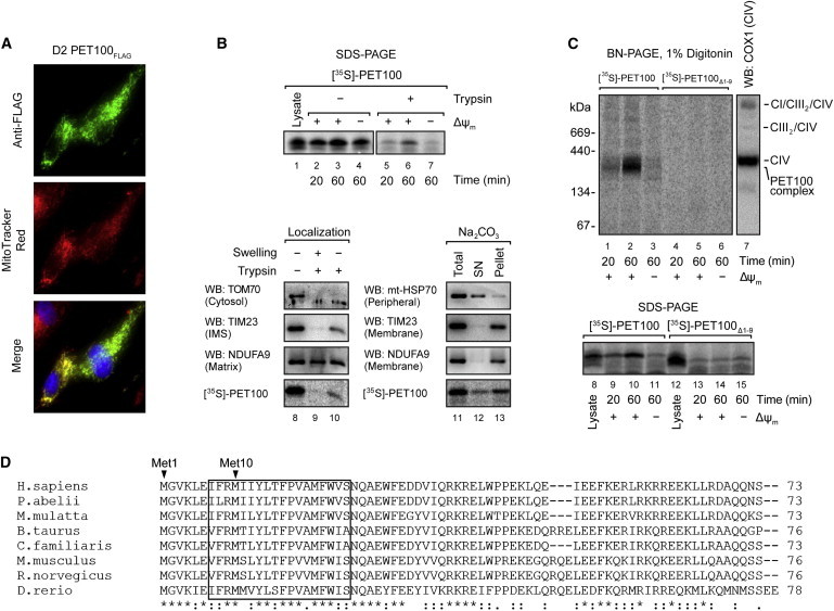 Figure 3