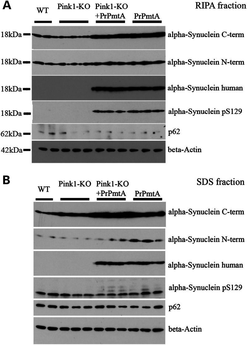 Figure 5.