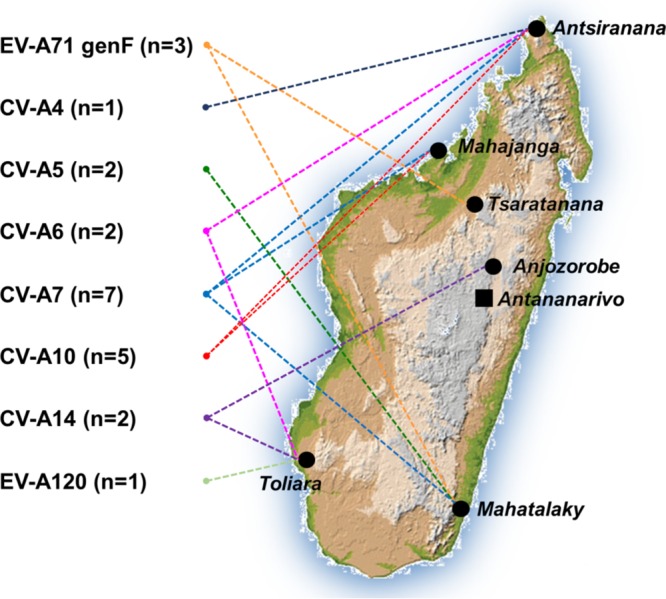 FIG 6