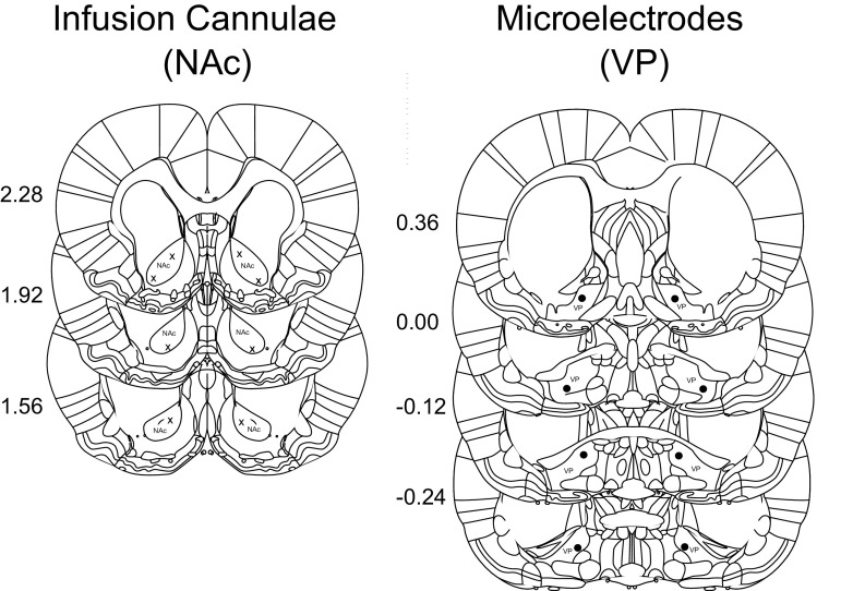 Figure 9.