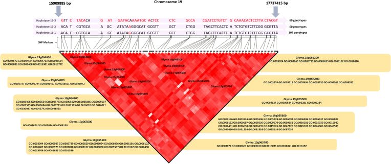 Figure 4