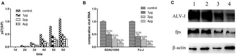 FIGURE 1