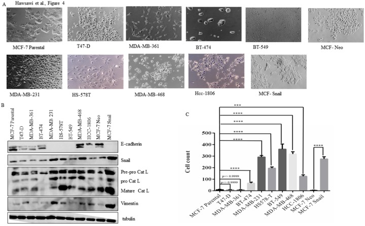 Fig 4