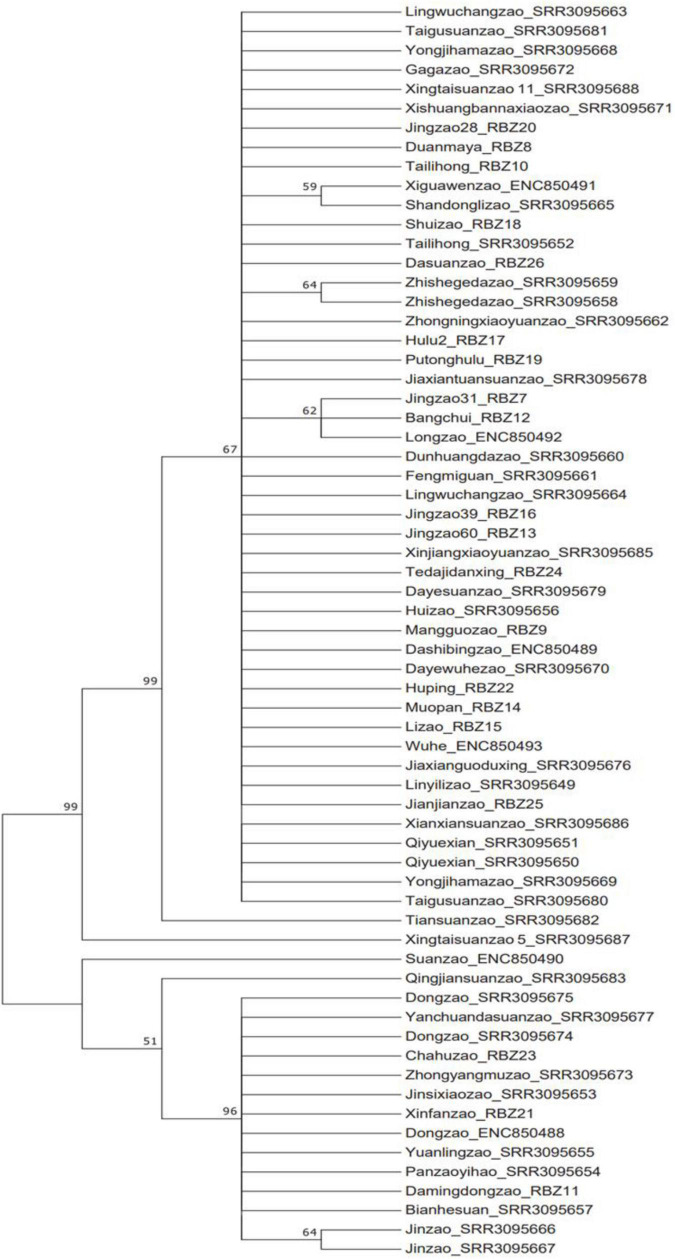 FIGURE 5