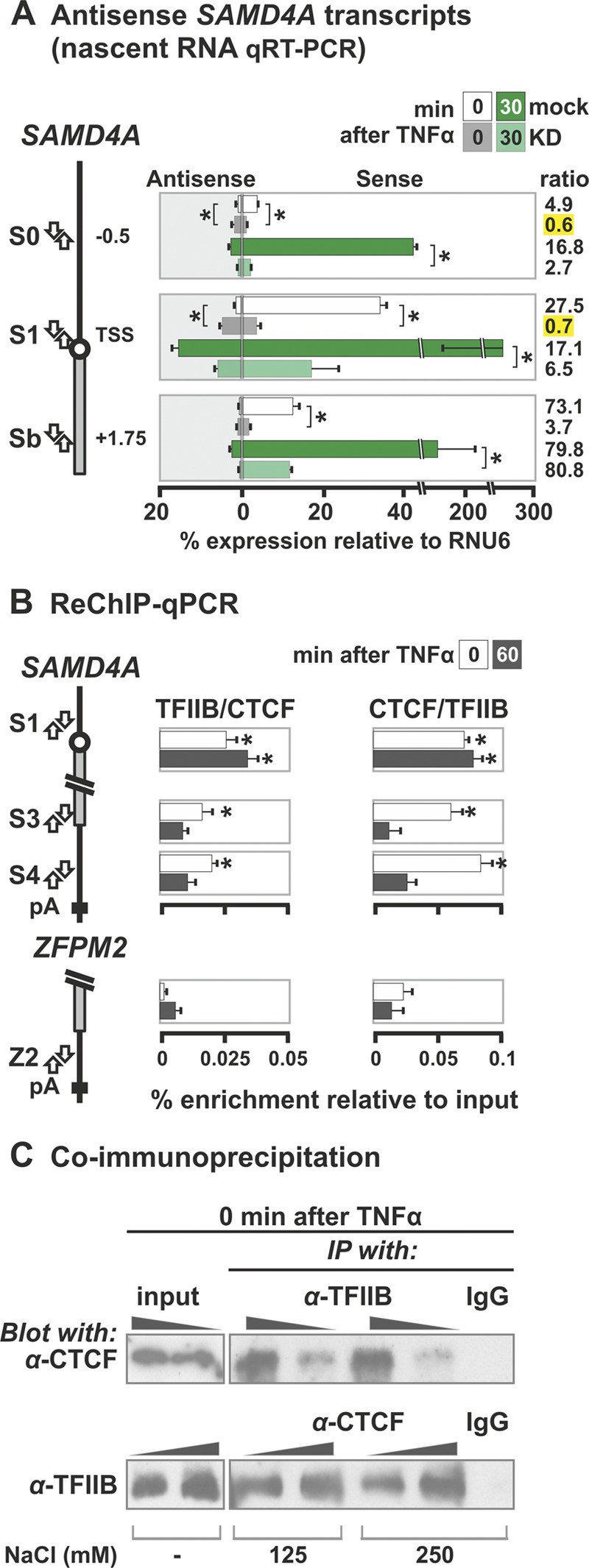 Fig 7