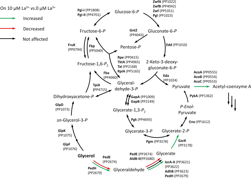 FIG 3