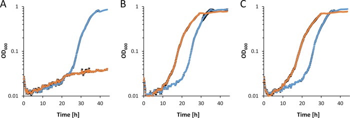 FIG 6