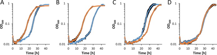 FIG 2