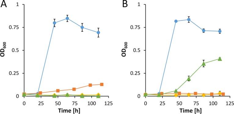 FIG 5