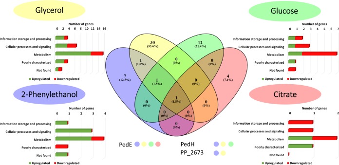 FIG 1