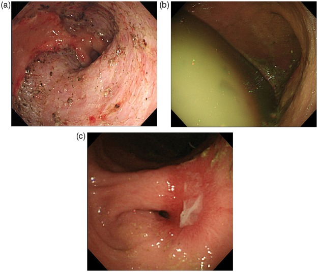 Figure 2.