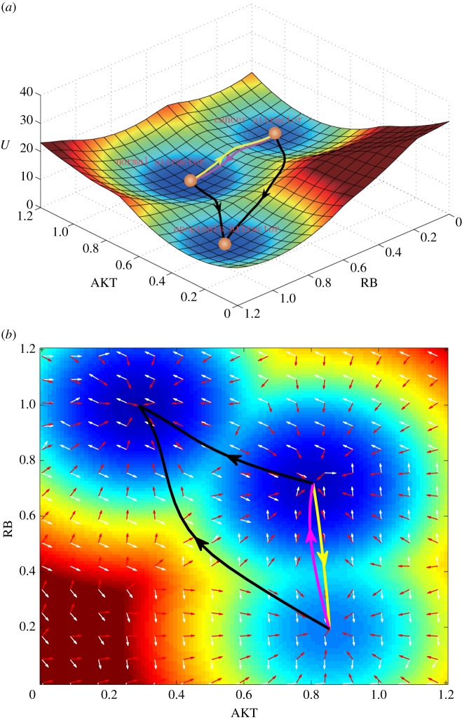 Figure 2.