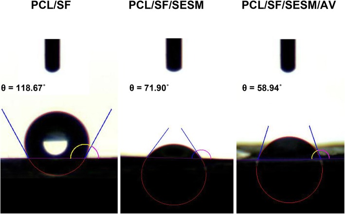 Fig. 5