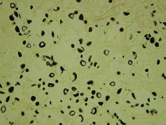Fig. 10.6