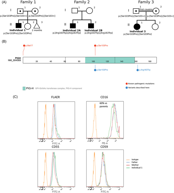 FIGURE 1