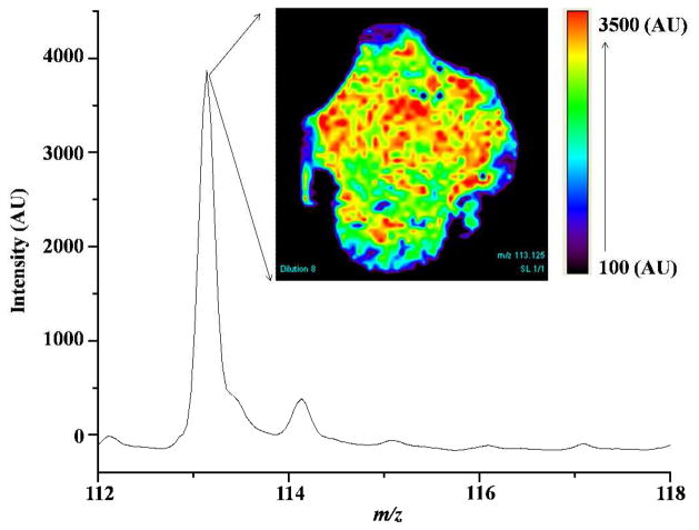 Figure 5