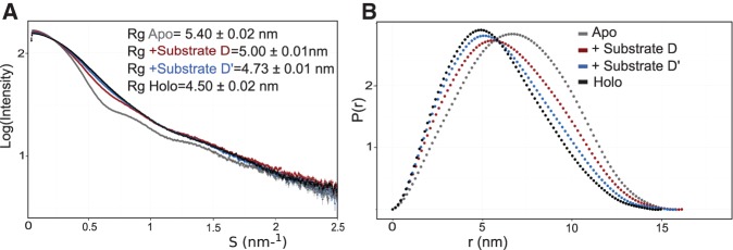 FIGURE 4.