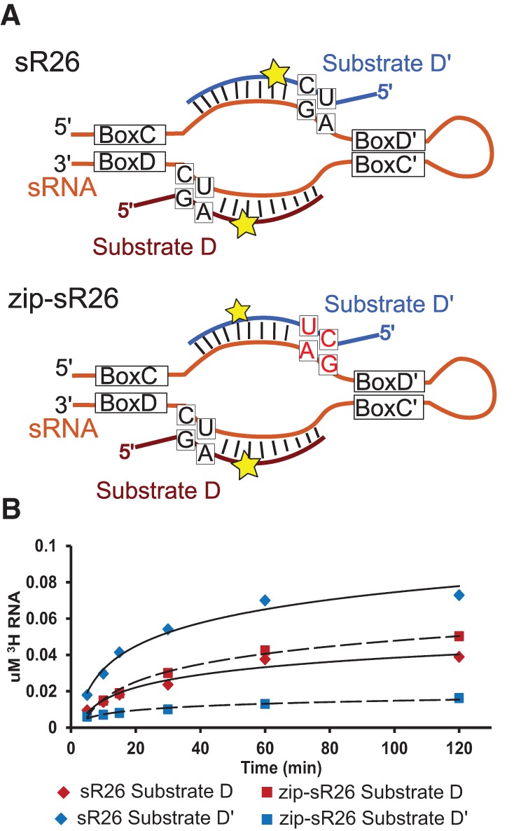 FIGURE 3.