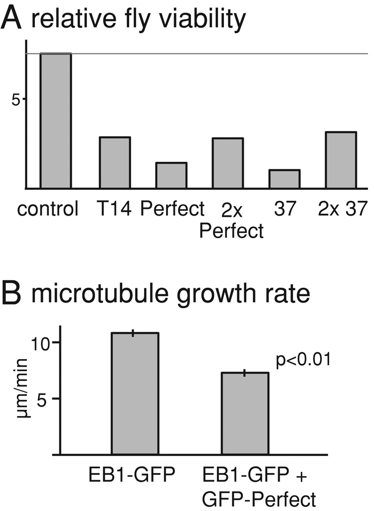 FIGURE 5: