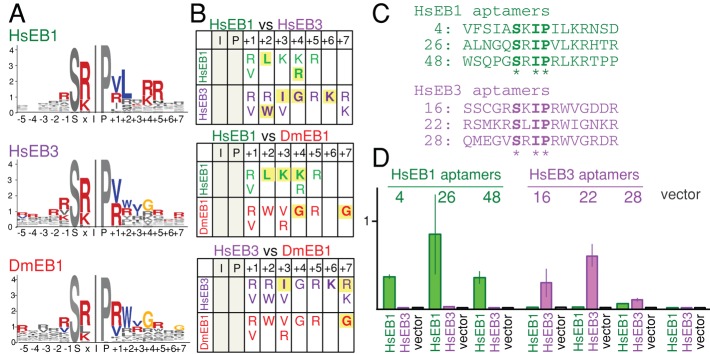 FIGURE 6: