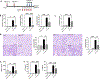 Fig. 7: