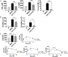 Fig. 4: