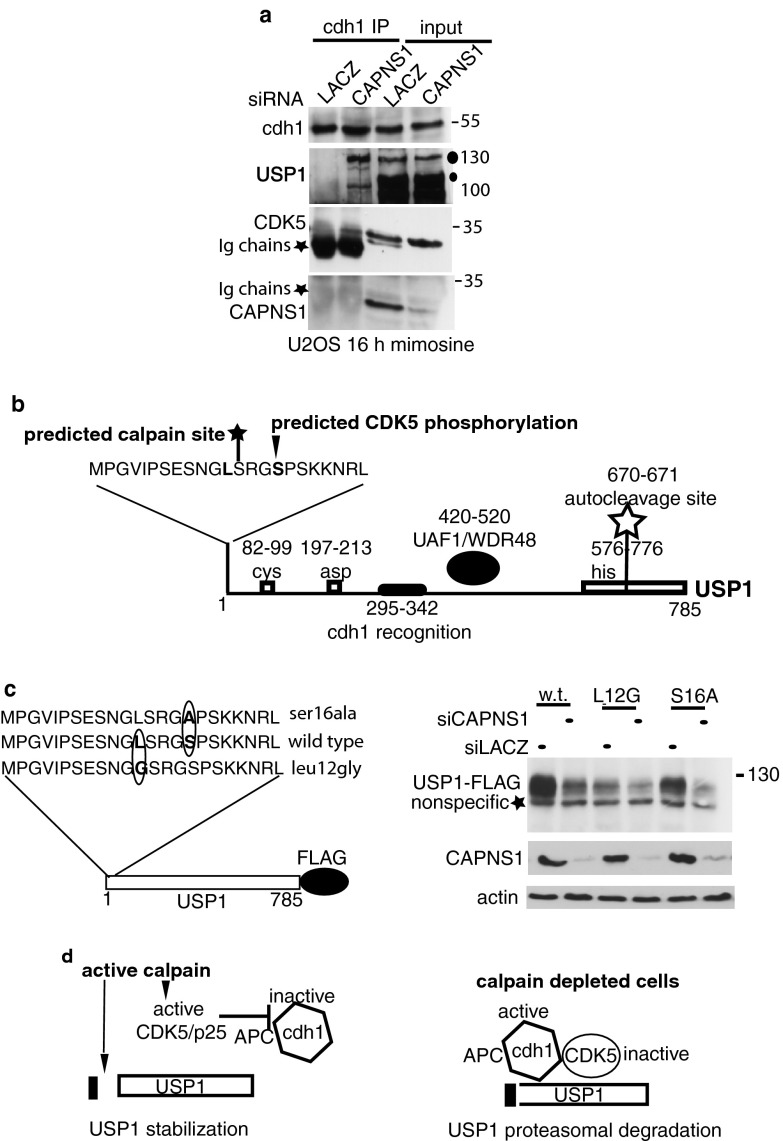 Fig 7