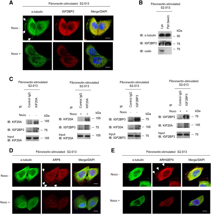 Figure 6