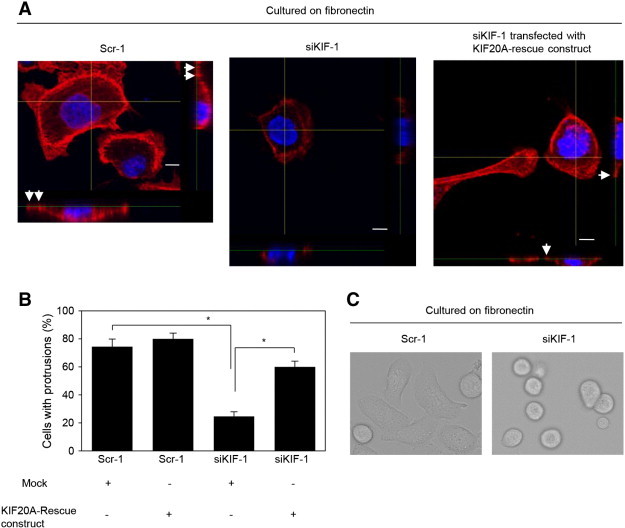 Figure 7