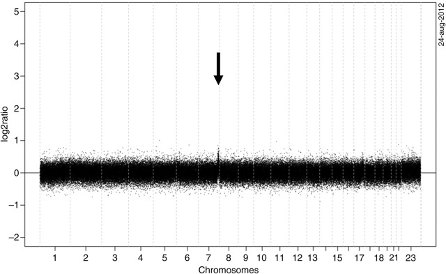 Figure 3