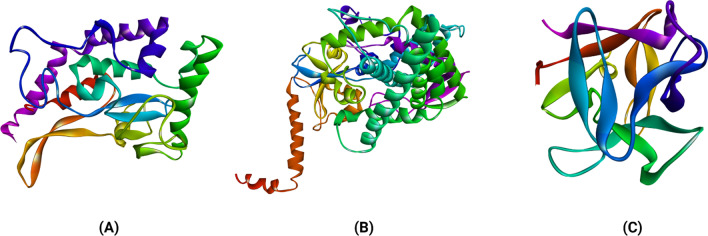 Fig. 2