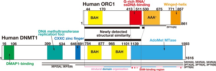 FIGURE 7.