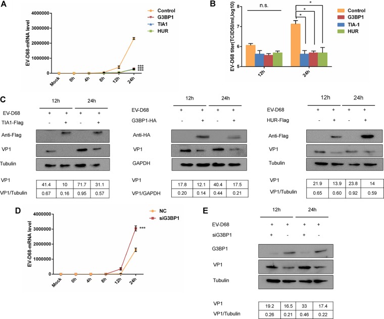 FIG 3