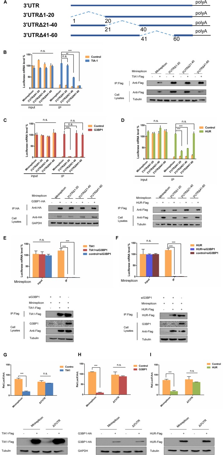 FIG 6