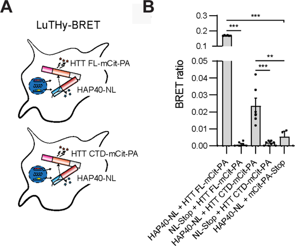 Figure 6: