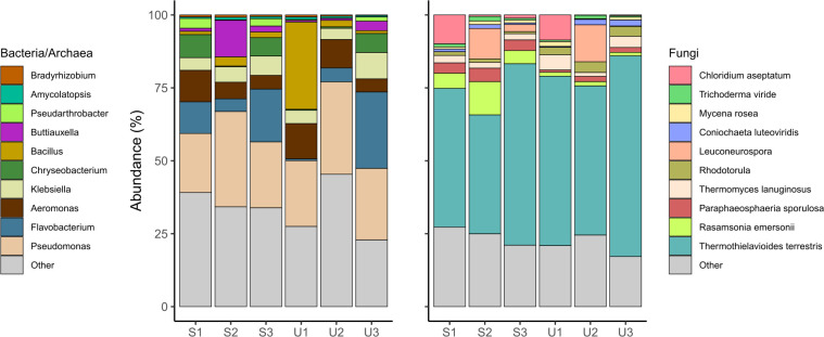 A figure shows a two-stacked bar graph depicting the abundance of the 10 most common genera for bacteria or archaea, and fungi in surface S1, S2, S3, and underwater U1, U2, and U3 samples.