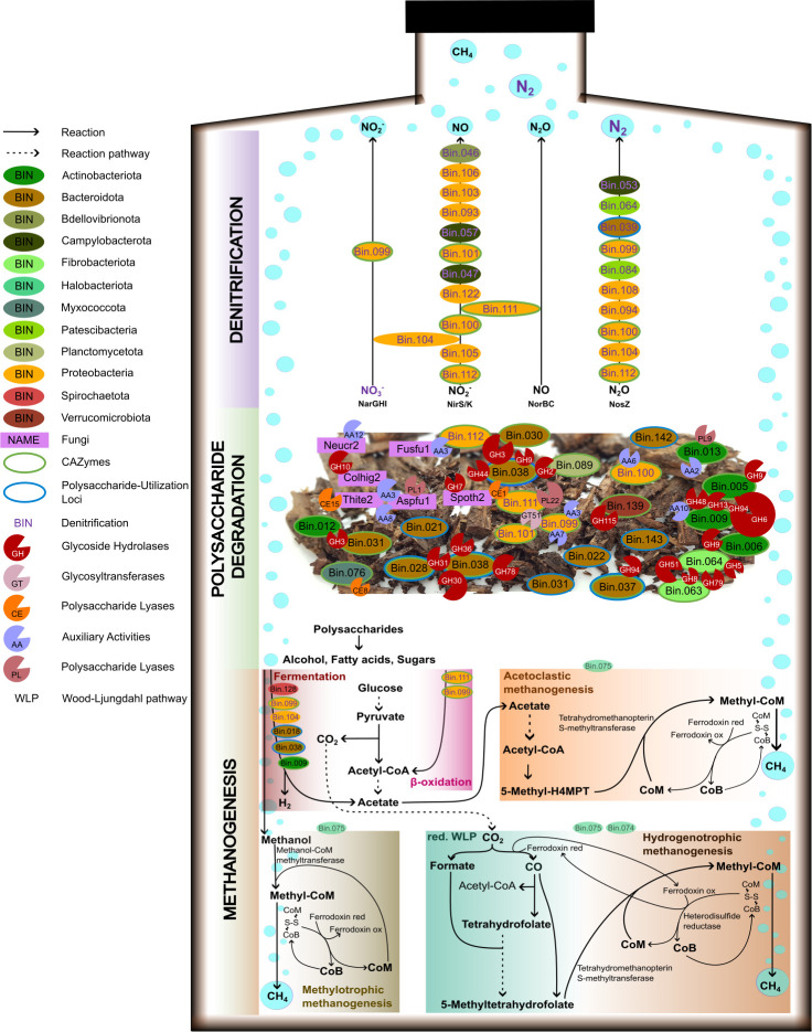 A figure illustrates a schematic bottle-shaped overview of the most prominent metabolic processes, including denitrification, polysaccharide degradation, and methanogenesis. Arrows indicate the reactions and reaction pathways.