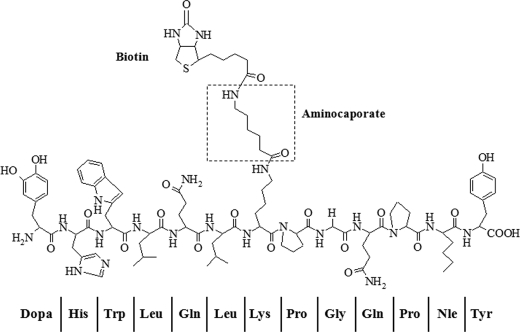 FIGURE 1.