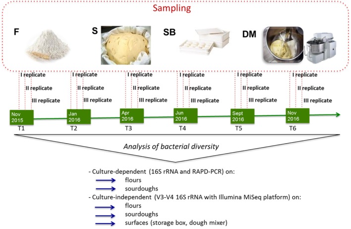 FIGURE 1