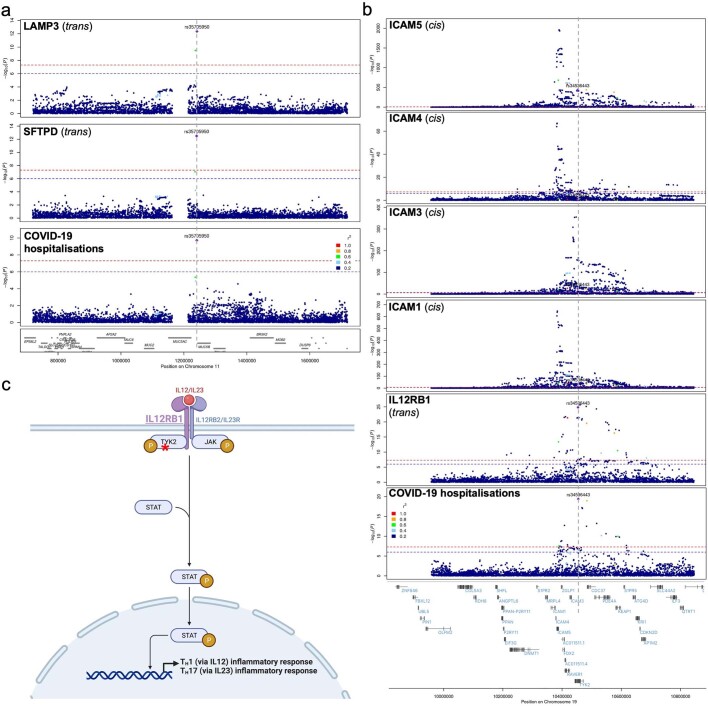 Extended Data Fig. 11