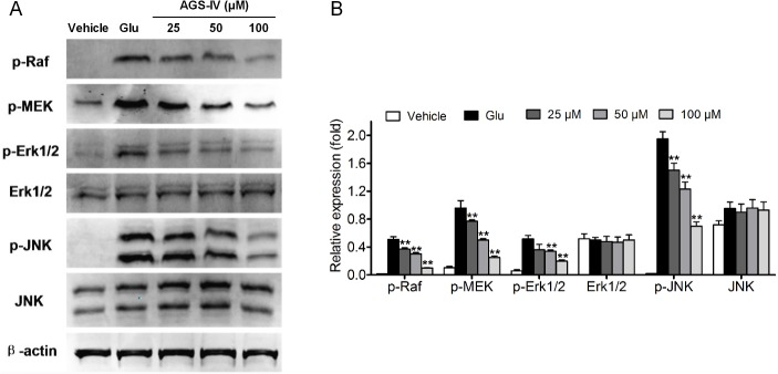 Fig 6