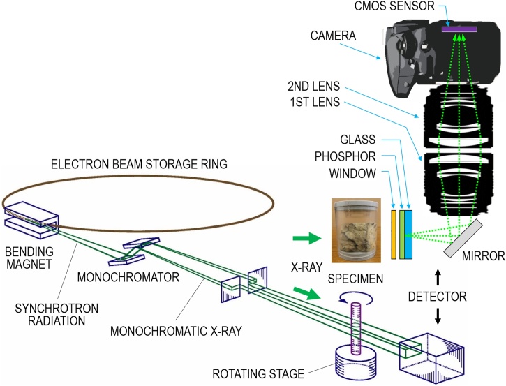 Fig. 1