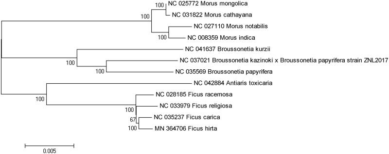 Figure 1.