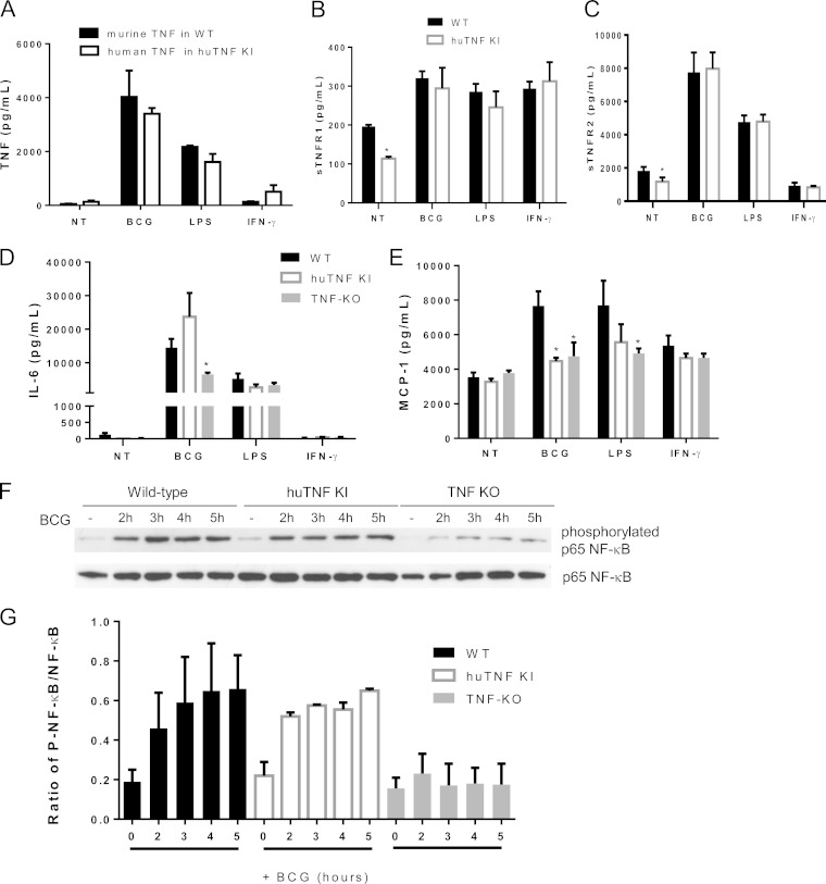 FIG 1