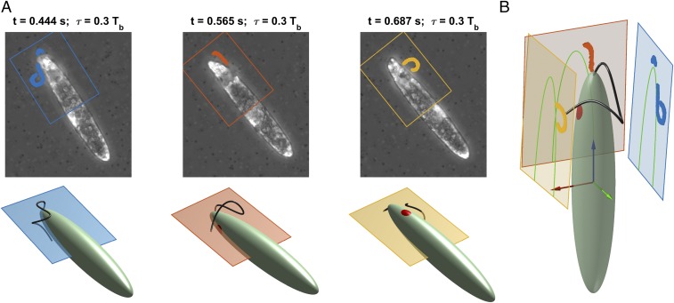 Fig. 3.